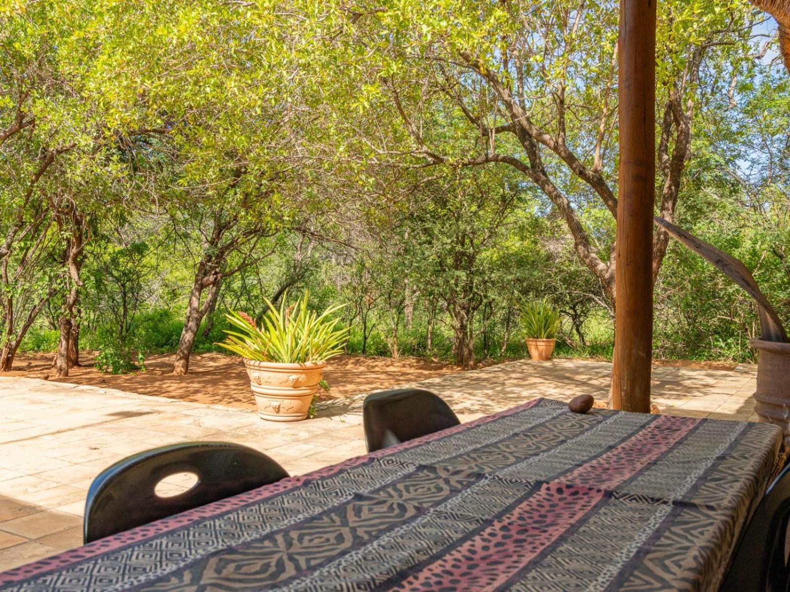 Impala Cottage Hoedspruit Exteriör bild