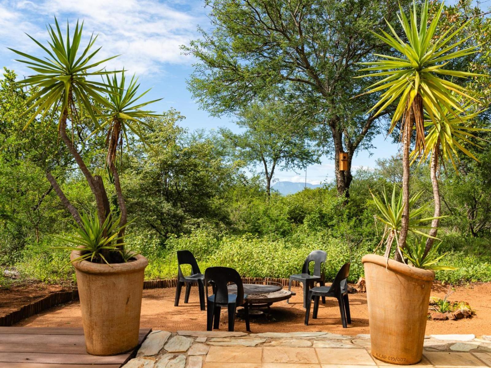 Impala Cottage Hoedspruit Exteriör bild