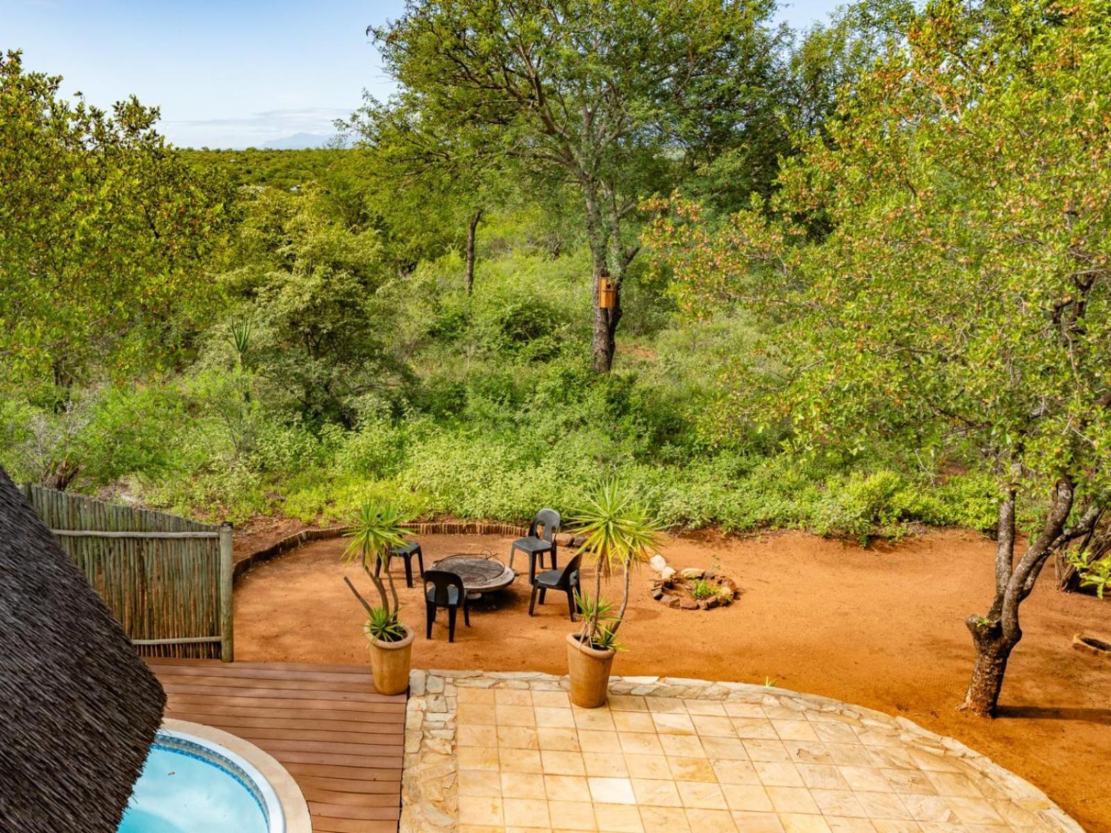 Impala Cottage Hoedspruit Exteriör bild